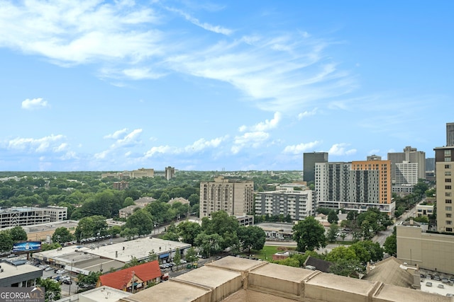 75 Ponce De Leon Ave NE Unit 1004, Atlanta, GA 30308 - view of city