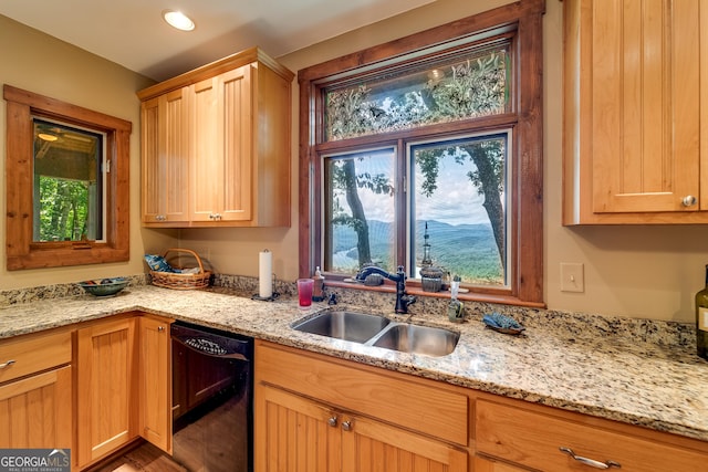 4 Dean Ln, Tiger, GA 30576 - kitchen with black dishwasher, healthy amount of natural light, and light stone countertops