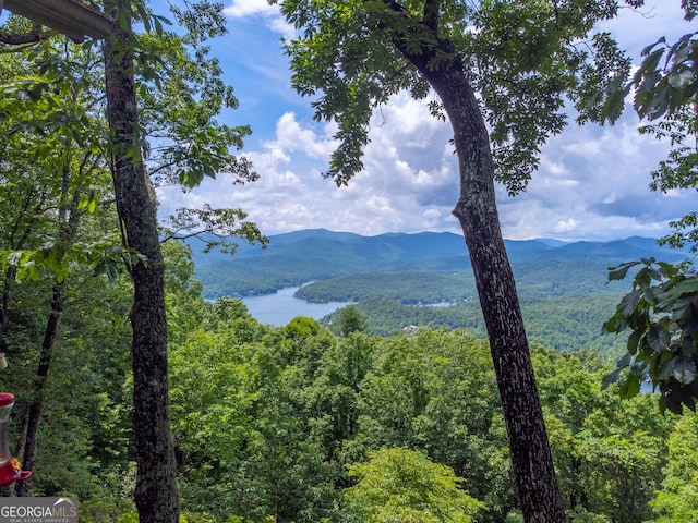 4 Dean Ln, Tiger, GA 30576 - view of mountain backdrop featuring a heavily wooded area