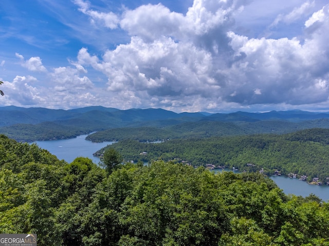4 Dean Ln, Tiger, GA 30576 - mountain view featuring a large body of water