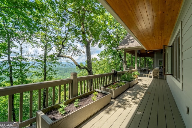 4 Dean Ln, Tiger, GA 30576 - view of deck