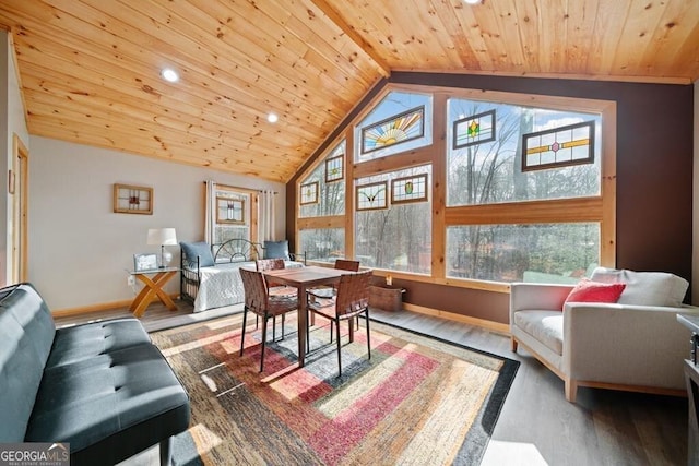 180 Echo Ln Unit 692, Ellijay, GA 30540 - living area featuring wooden ceiling, wood finished floors, vaulted ceiling, and recessed lighting