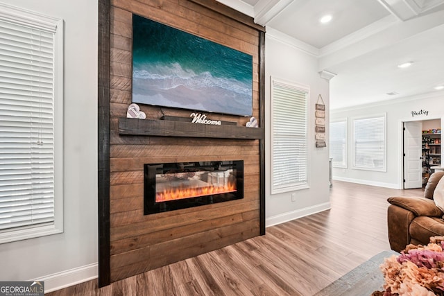 4189 Brookmont Way, Auburn, GA 30011 - living room featuring crown molding, a fireplace, wood finished floors, and recessed lighting