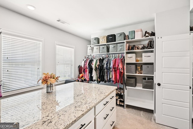 4189 Brookmont Way, Auburn, GA 30011 - spacious closet with light carpet