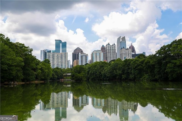 348 7th St NE, Atlanta, GA 30308 - skyline view featuring a large body of water and a forest
