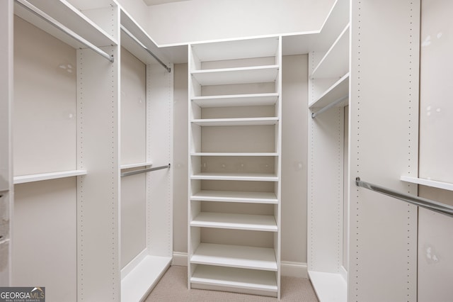 214 Misty View Dr, Canton, GA 30114 - view of spacious closet