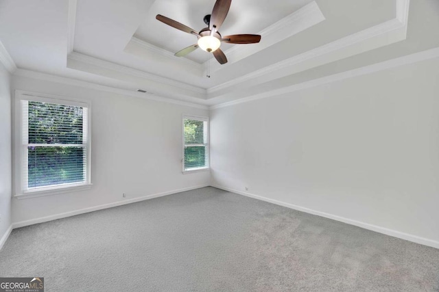 4206 Moccasin Trl, Woodstock, GA 30189 - spare room featuring a raised ceiling, a ceiling fan, ornamental molding, and carpet
