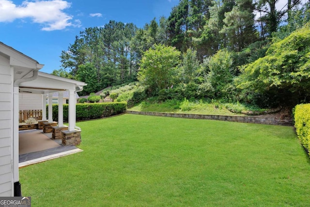 4206 Moccasin Trl, Woodstock, GA 30189 - view of green lawn