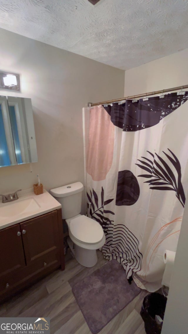501 Carlton Rd # 3B, Palmetto, GA 30268 - bathroom with wood finished floors, vanity, a textured ceiling, and a shower with shower curtain