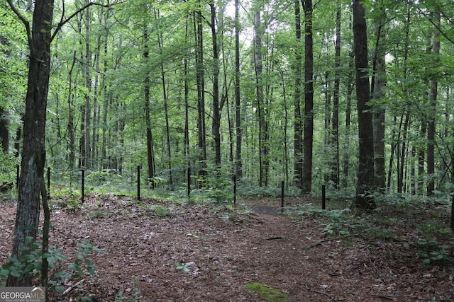 71 Mountain Creek Hollow Dr, Talking Rock, GA 30175
