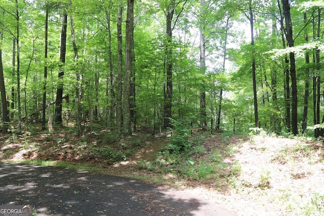 71 Mountain Creek Hollow Dr, Talking Rock, GA 30175