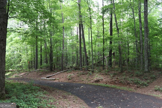 71 Mountain Creek Hollow Dr, Talking Rock, GA 30175