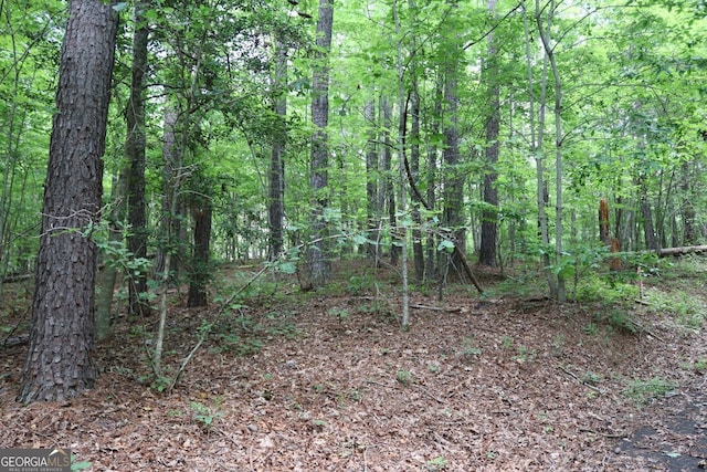 71 Mountain Creek Hollow Dr, Talking Rock, GA 30175