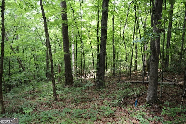 71 Mountain Creek Hollow Dr, Talking Rock, GA 30175
