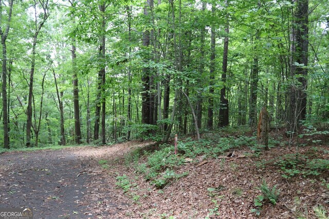 71 Mountain Creek Hollow Dr, Talking Rock, GA 30175