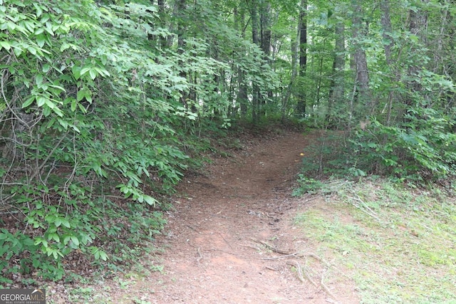 71 Mountain Creek Hollow Dr, Talking Rock, GA 30175