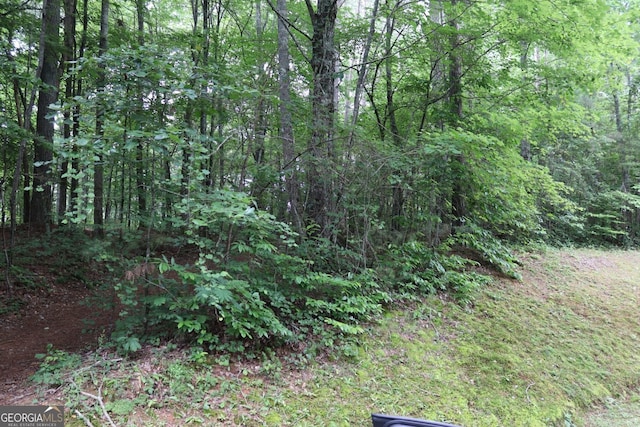 71 Mountain Creek Hollow Dr, Talking Rock, GA 30175