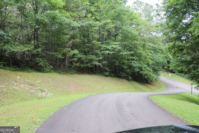 71 Mountain Creek Hollow Dr, Talking Rock, GA 30175