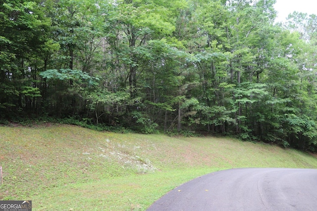 71 Mountain Creek Hollow Dr, Talking Rock, GA 30175