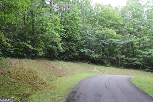 71 Mountain Creek Hollow Dr, Talking Rock, GA 30175