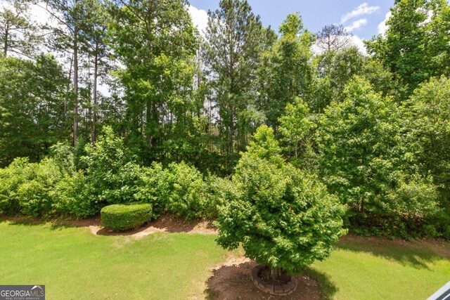 5003 Pacific Dunes Dr, Suwanee, GA 30024 - view of green lawn