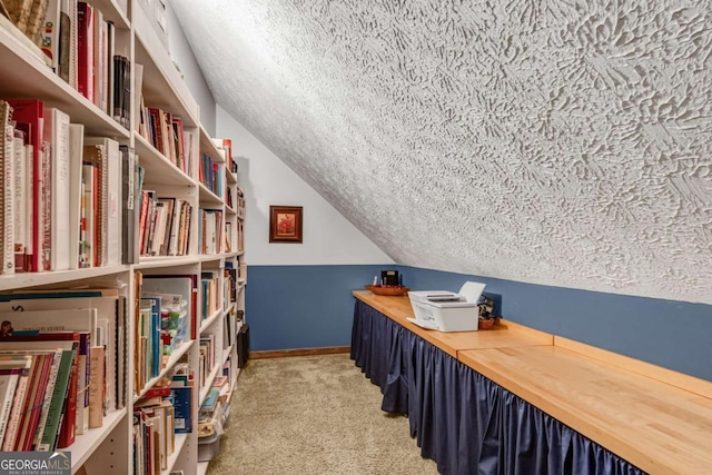 3754 Wyntuck Cir NW, Kennesaw, GA 30152 - office with a textured ceiling, lofted ceiling, and carpet