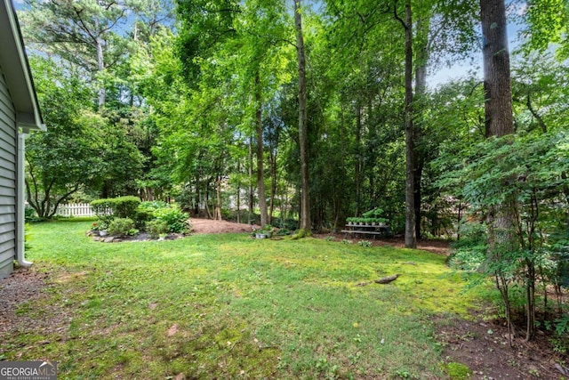 3754 Wyntuck Cir NW, Kennesaw, GA 30152 - view of yard