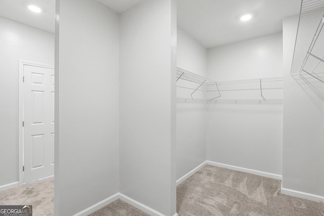 55 Summerhill Pl, Newnan, GA 30263 - walk in closet with carpet