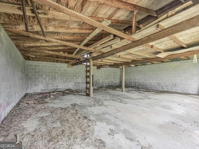 14367 Fincher Rd, Canton, GA 30114 - below grade area featuring concrete block wall