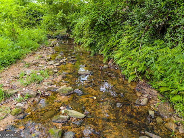 7250 Hunters Branch Dr, Atlanta, GA 30328 - view of local wilderness