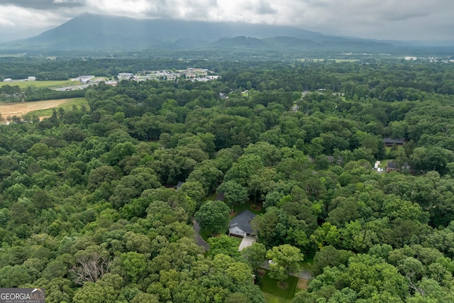 1505 Misty Valley Dr, Chatsworth, GA 30705 - drone / aerial view of a forest and mountains