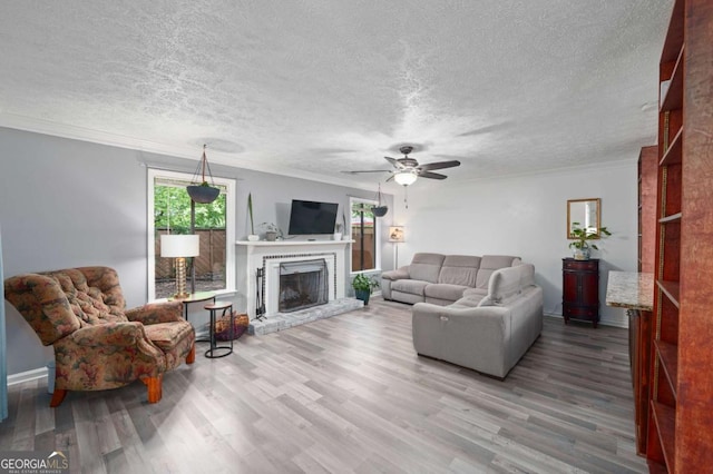834 Lake Hollow Blvd SW, Marietta, GA 30064 - living room featuring plenty of natural light, a textured ceiling, light wood-style floors, a ceiling fan, and ornamental molding