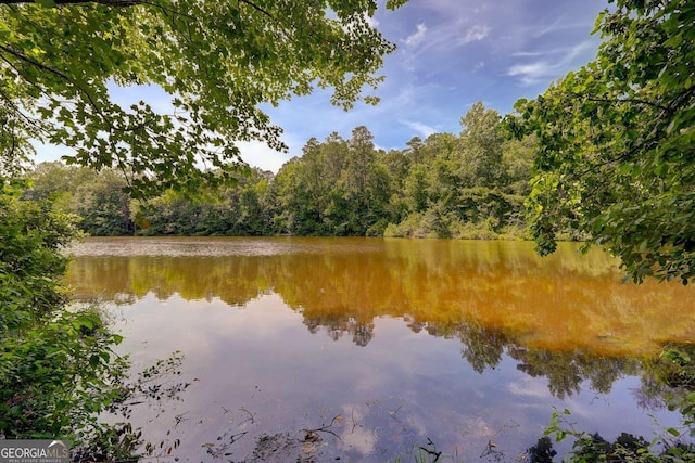 834 Lake Hollow Blvd SW, Marietta, GA 30064 - water view featuring a forest