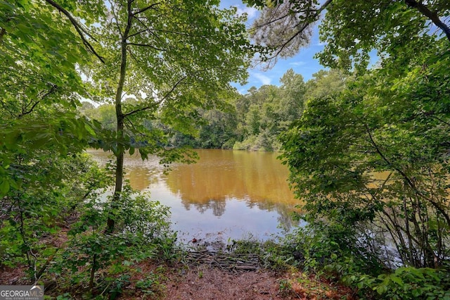 834 Lake Hollow Blvd SW, Marietta, GA 30064 - water view with a heavily wooded area