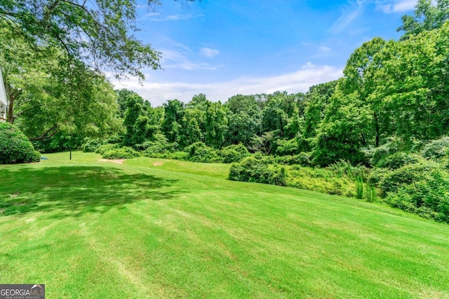 1003 Cannongate Xing SW, Marietta, GA 30064 - view of green lawn featuring view of golf course