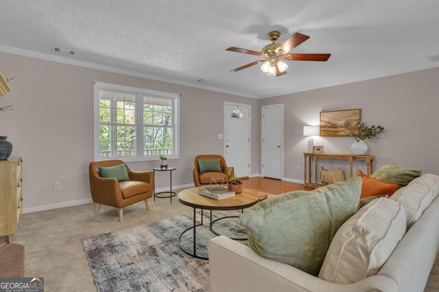 81 Bowers Rd, Moreland, GA 30259