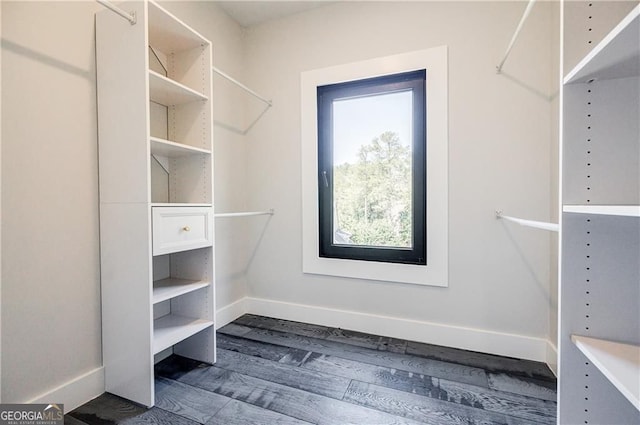 1812 Hunters Gln, Marietta, GA 30062 - walk in closet with dark wood-style flooring
