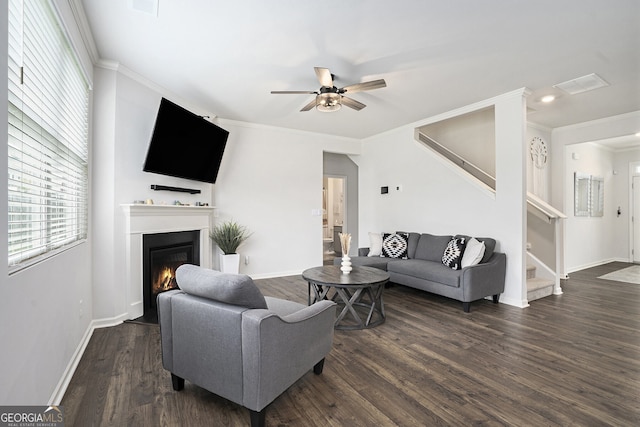 7814 Messina Ct, Lithia Springs, GA 30122 - living area with ceiling fan, stairs, ornamental molding, dark wood-style flooring, and a lit fireplace