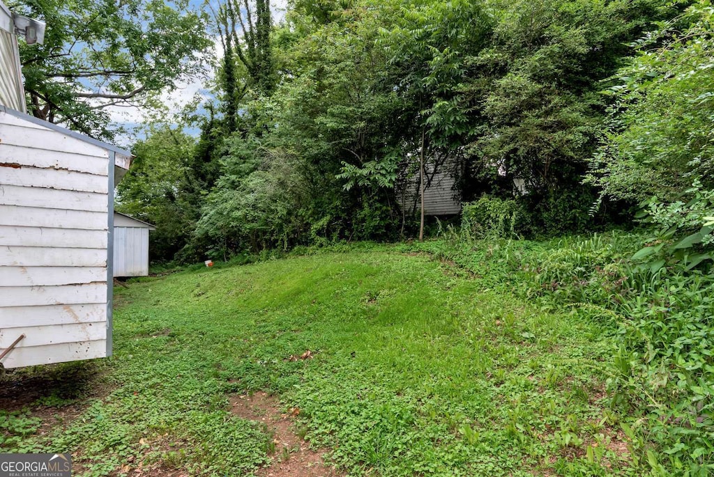 120 Hill Pl, Toccoa, GA 30577 - view of yard