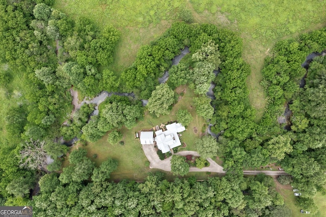 3349 Whitepath Rd, Ellijay, GA 30540 - aerial view of property and surrounding area