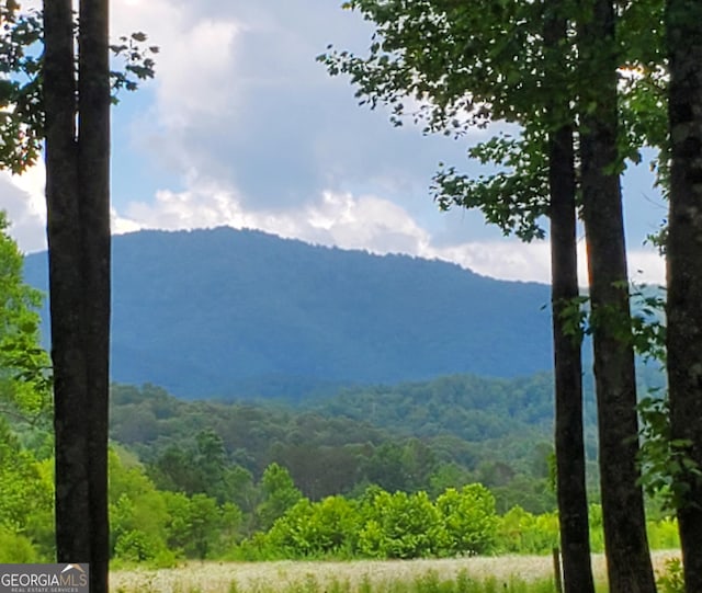 3349 Whitepath Rd, Ellijay, GA 30540 - view of mountain background with a forest
