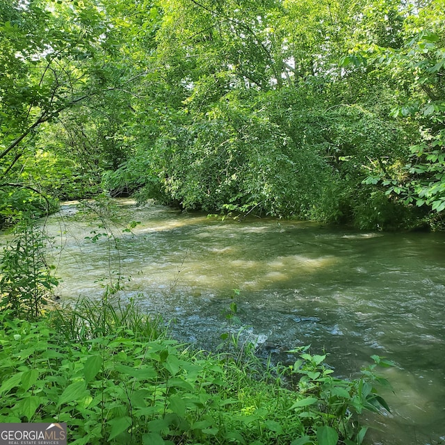 3349 Whitepath Rd, Ellijay, GA 30540 - view of nature