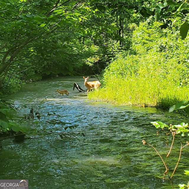 3349 Whitepath Rd, Ellijay, GA 30540 - water view