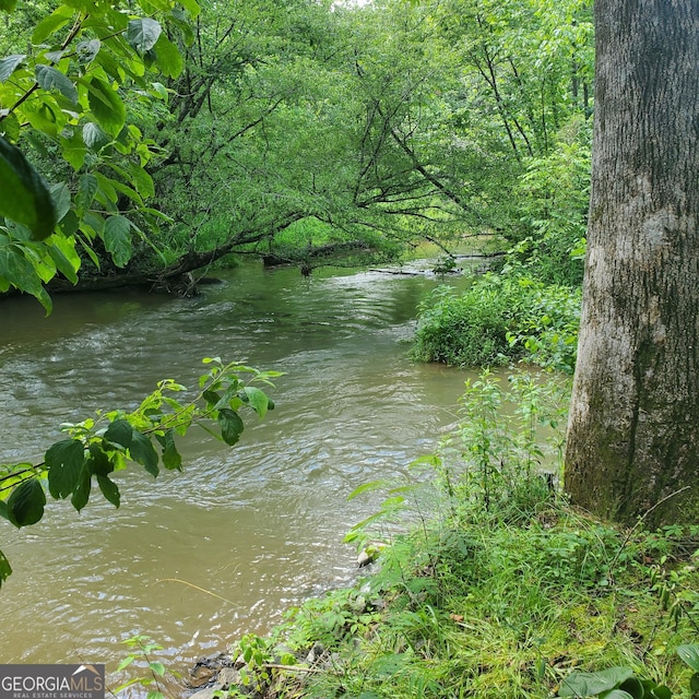 3349 Whitepath Rd, Ellijay, GA 30540 - water view