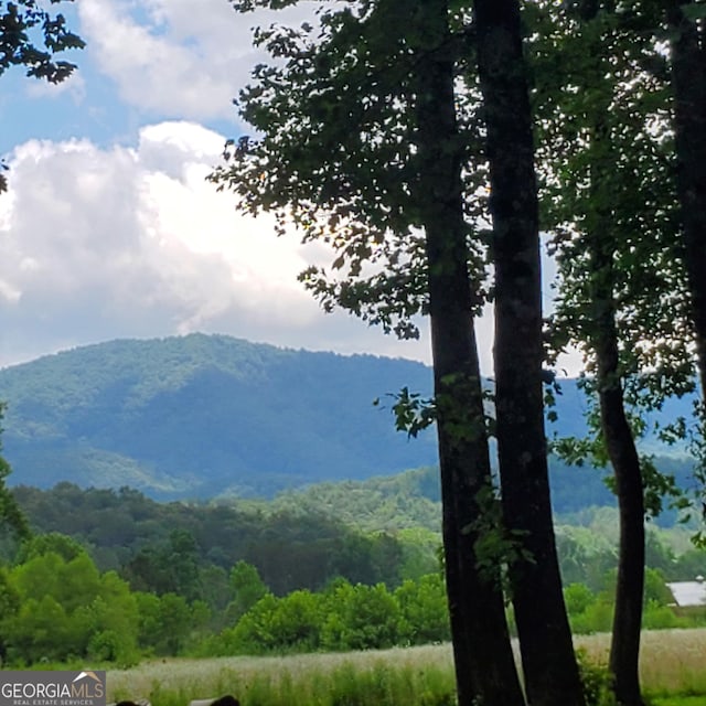 3349 Whitepath Rd, Ellijay, GA 30540 - view of mountain background with a heavily wooded area