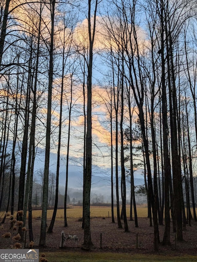 3349 Whitepath Rd, Ellijay, GA 30540 - water view with a mountain backdrop