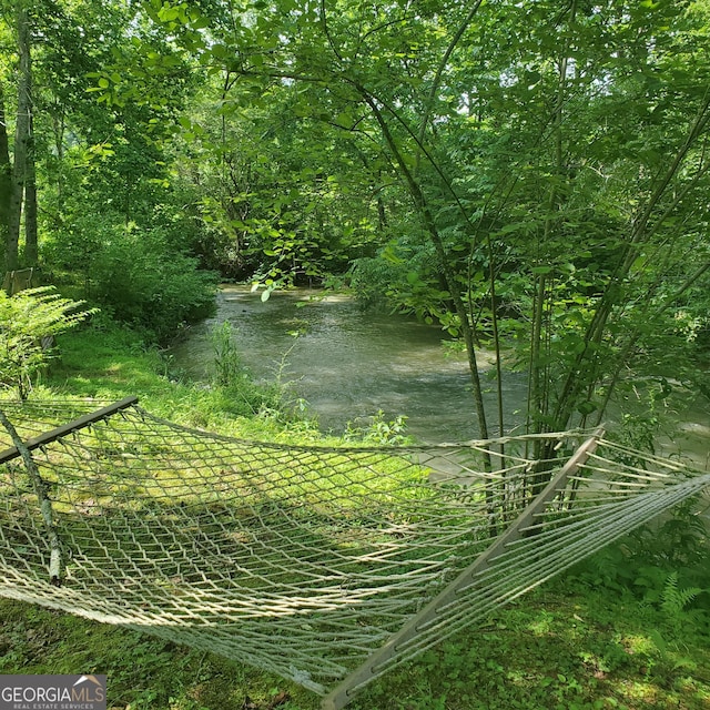 3349 Whitepath Rd, Ellijay, GA 30540 - water view