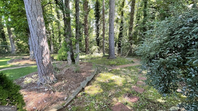 4710 Cedar Brook Dr SE, Conyers, GA 30094 - view of undeveloped land