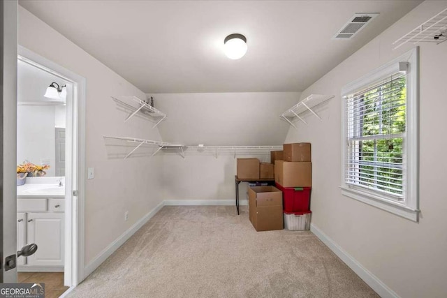 214 Davis Mill Rd, Ball Ground, GA 30107 - walk in closet featuring light carpet