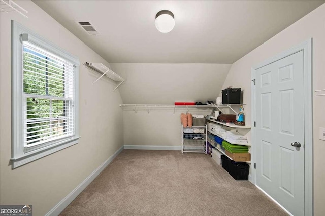 214 Davis Mill Rd, Ball Ground, GA 30107 - walk in closet featuring carpet floors and lofted ceiling